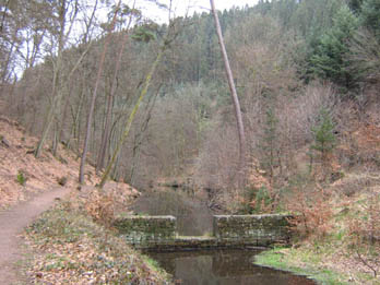 e Einfluß in den Isenachweiher