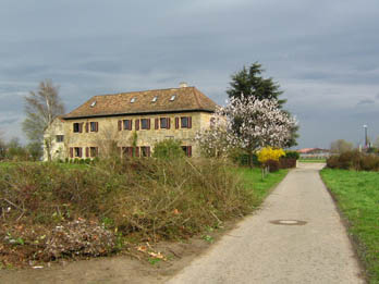 l ehmliges Sägewerk