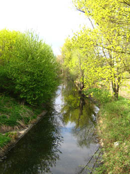 y2 vor Bobenheim
