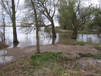 y7 Mündung von Norden