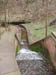 h Wassertreppe